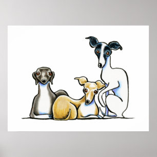 Italiaans Greyhound Trio Poster