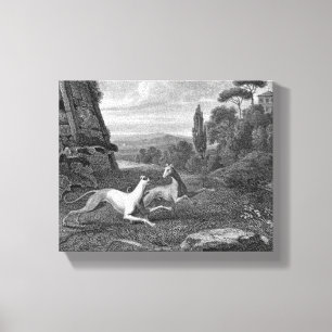 Italiaans Greyhounds Dog Drawing Canvas Afdruk