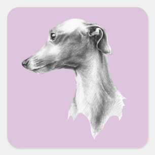 Italiaans Grieks-witte whippet portret tekenkunst Vierkante Sticker