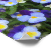 Italiaans Poster Pansies (Hoek)