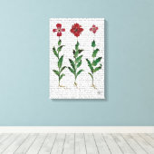 Italiaanse anjer 1 canvas afdruk (Insitu (Houten vloer))