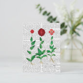 Italiaanse anjer 2 briefkaart (Staand voorkant)