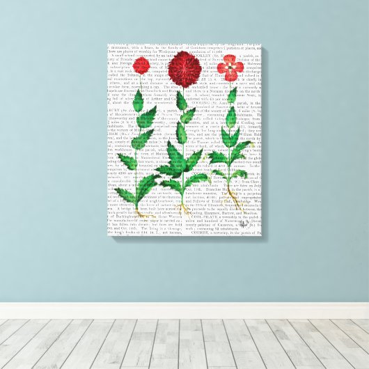 Italiaanse anjer 2 canvas afdruk (Insitu (Houten vloer))