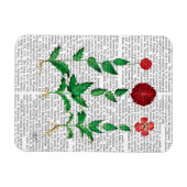 Italiaanse anjer 2 magneet (Horizontaal)