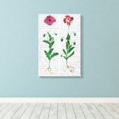 Italiaanse anjer 3 canvas afdruk (Insitu (Houten vloer))