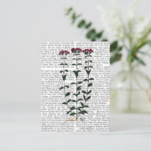 Italiaanse anjer 6 briefkaart (Staand voorkant)