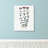 Italiaanse anjer canvas afdruk (Insitu (Houten vloer))