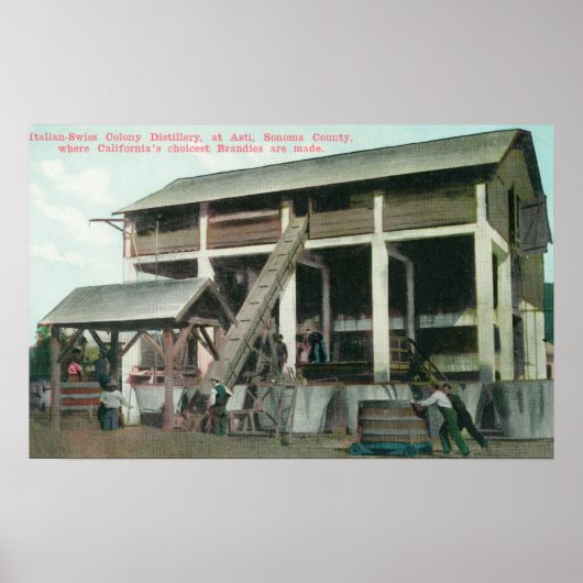 Italiaanse Colony Brandy Distillery Poster (Voorkant)