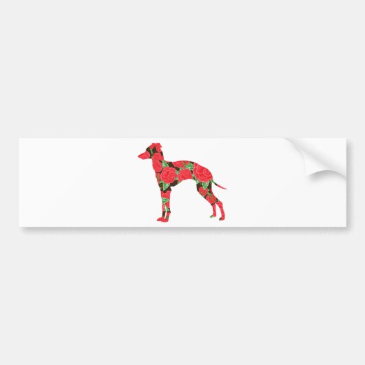 Italiaanse Greyhound Bumpersticker (Voorkant)