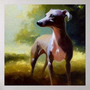Italiaanse Greyhound Dog Poster