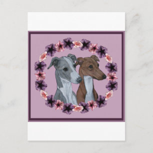 ITALIAANSE GREYHOUND DUO BRIEFKAART