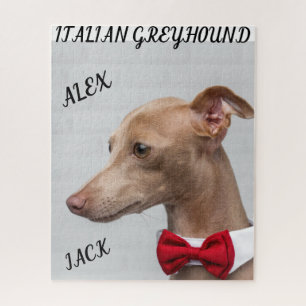 ITALIAANSE GREYHOUND PUZZZLE EN PERSONEELSLEDEN. LEGPUZZEL