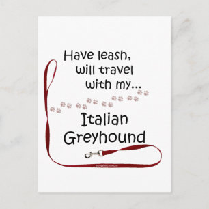 Italiaanse Greyhound reisleiband Briefkaart