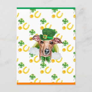 Italiaanse Greyhound Shamrock St. Patricks Day Feestdagenkaart