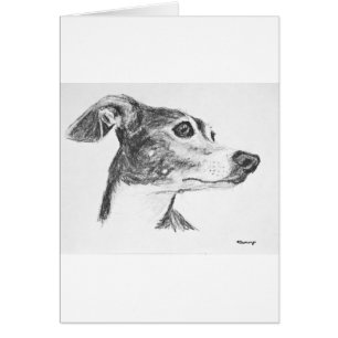 Italiaanse Greyhound Sketch
