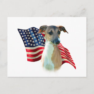 Italiaanse Greyhound vlag Briefkaart