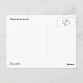 Italiaanse Greyhounds Briefkaart (Achterkant)