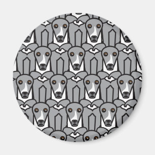 Italiaanse Greyhounds Magneet