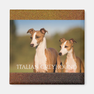 Italiaanse Greyhounds Magnet Magneet