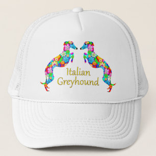 Italiaanse Greyhounds Trucker Pet