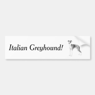 Italiaanse Greyhoundstijl Bumpersticker