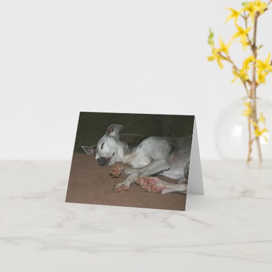 Italiaanse Kaart Greyhound #1 (Gele Bloem)