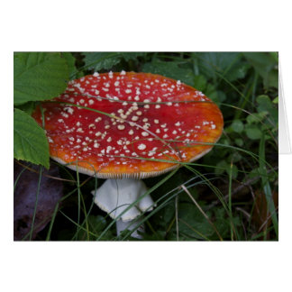 Italiaanse kaarten, Borgo Valsugana