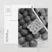 Italiaanse klantenkaart briefkaart (Voorkant / Achterkant)