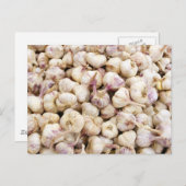 Italiaanse knoflookbollen briefkaart (Voorkant / Achterkant)