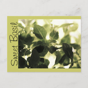 Italiaanse koks! Sweet Basil, Recipe Cards, Labels Briefkaart