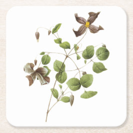 Italiaanse lederbloem (Clematis) van Redouté Vierkante Kartonnen Onderzetter