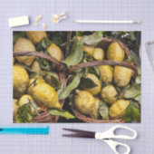 Italiaanse leemten in een mandje tissuepapier (Craft)