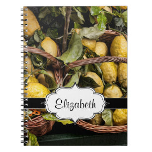 Italiaanse legerluiers in een mand notitieboek