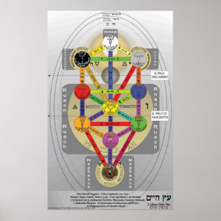Italiaanse levensboom poster