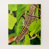 Italiaanse muurschild legpuzzel (Verticaal)