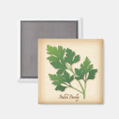 Italiaanse peterselie Herb Magneet (Voorkant / Achterkant)