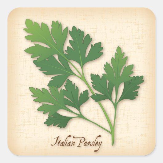Italiaanse peterselie op het Herb-plein Vierkante Sticker (Voorkant)