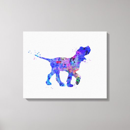 Italiaanse Spinone Canvas Afdruk (Voorkant)