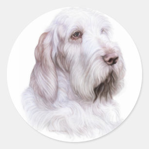 Italiaanse Spinone Italiano Ronde Sticker