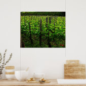 ITALIAANSE VINEYARD POSTER (Keuken)