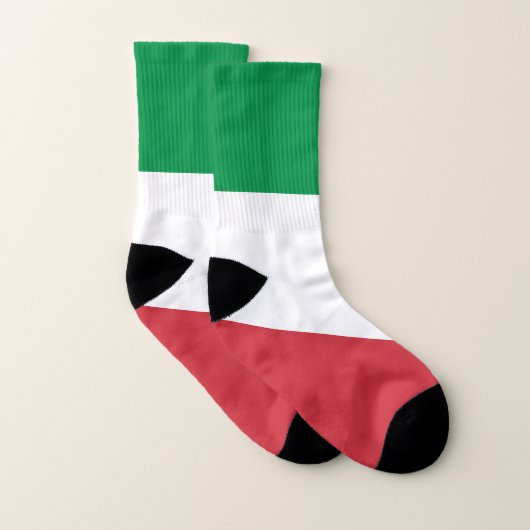 Italiaanse vlag sokken (Paar)