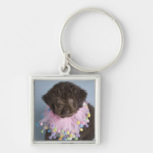 Italiaanse waterdog (Lagotto) Puppy Sleutelhanger