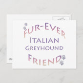 Italiaanse windhond Furever Briefkaart (Voorkant / Achterkant)