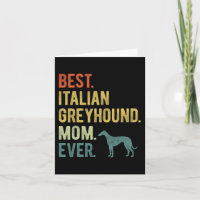 Italiaanse Windhond Moeder Aller Tijden Hond Liefh
