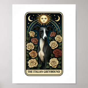 Italiaanse windhond poster