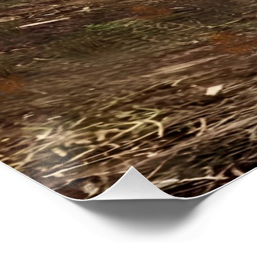 Italian Fall glossy poster (Coin)