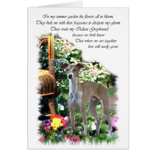 Italian Greyhound Art Toxits
