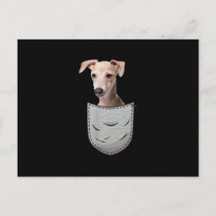 Italian Greyhound Whippet Chest Pocket For Down Feestdagenkaart