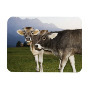 Italië, Alto Adige Magneet