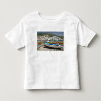 ITALIË, Campania, (Baai van Napels), ISCHIA,